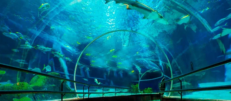 aquario-marinho-do-rio-de-janeiro